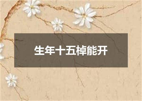 生年十五棹能开