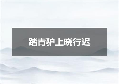 踏青驴上晓行迟