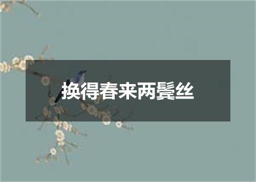 换得春来两鬓丝