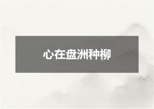 心在盘洲种柳
