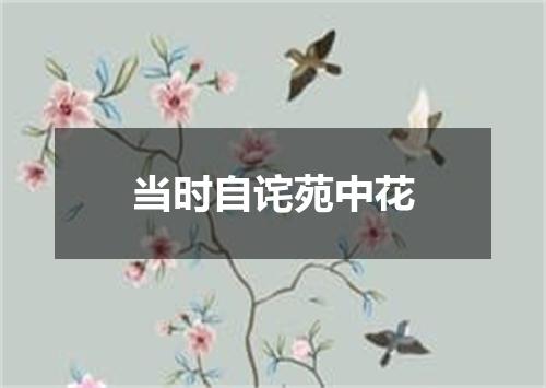 当时自诧苑中花