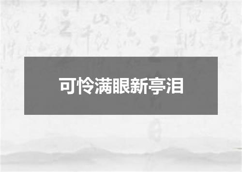 可怜满眼新亭泪
