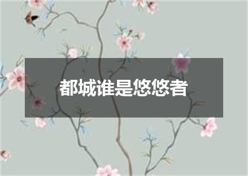 都城谁是悠悠者