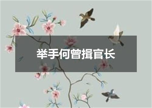 举手何曾揖官长