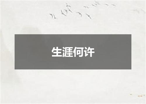 生涯何许