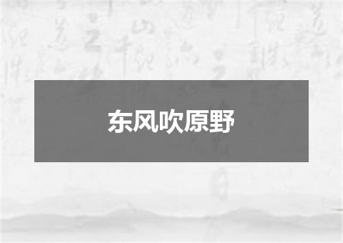 东风吹原野