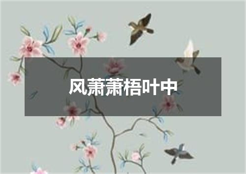 风萧萧梧叶中