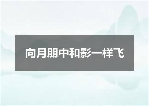 向月朋中和影一样飞