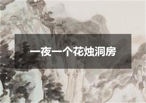 一夜一个花烛洞房