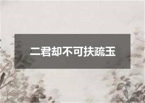 二君却不可扶疏玉