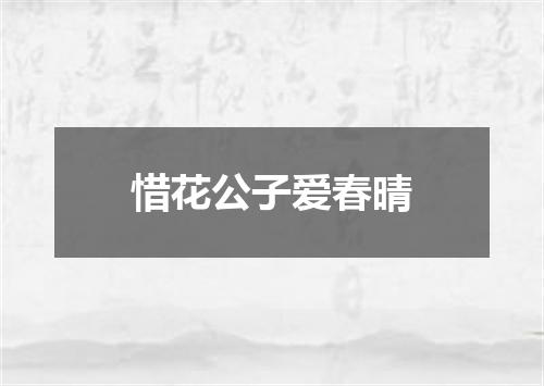惜花公子爱春晴