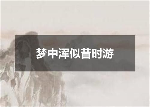 梦中浑似昔时游