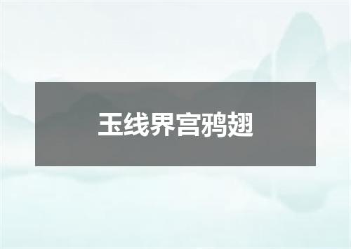 玉线界宫鸦翅