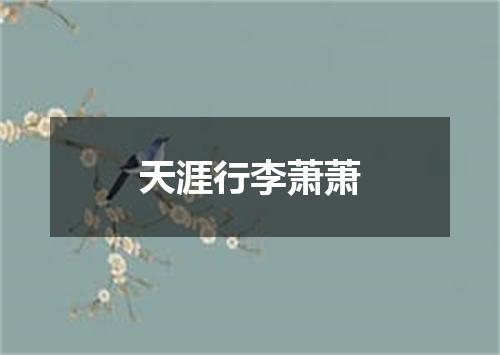 天涯行李萧萧