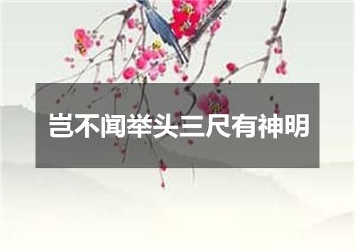 岂不闻举头三尺有神明