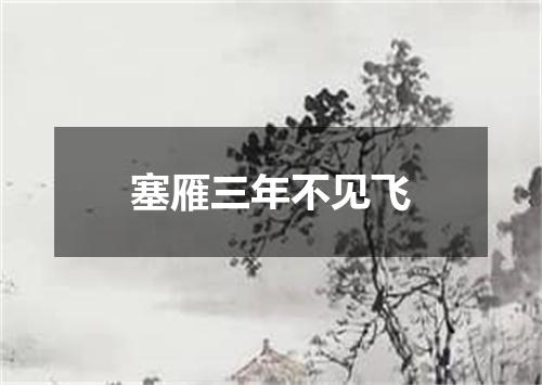 塞雁三年不见飞