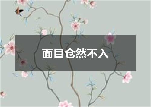 面目仓然不入