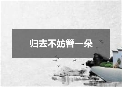 归去不妨簪一朵