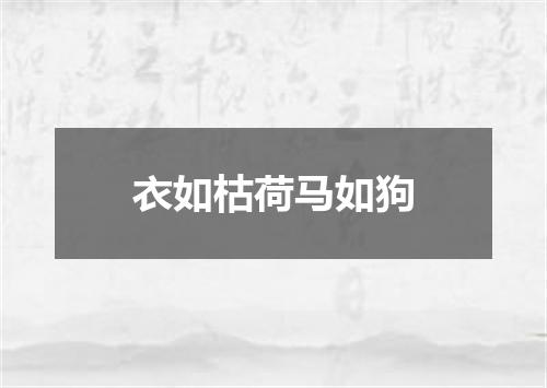 衣如枯荷马如狗