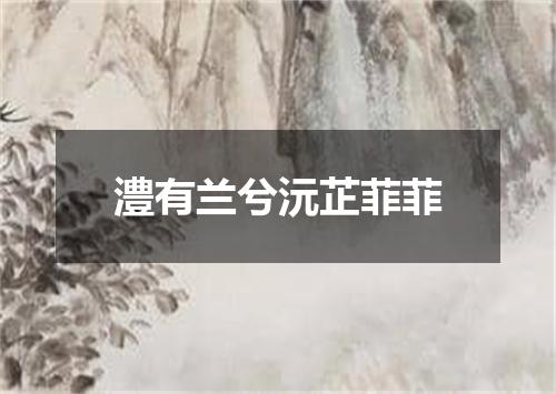 澧有兰兮沅芷菲菲