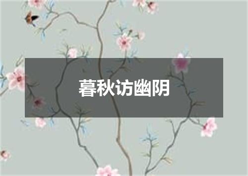 暮秋访幽阴
