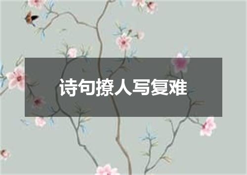 诗句撩人写复难