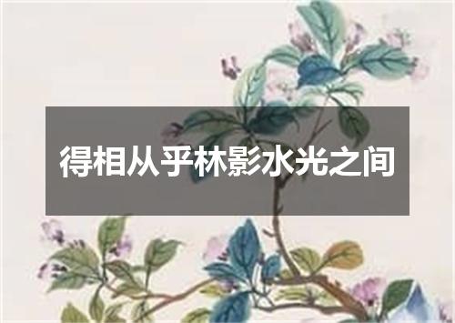 得相从乎林影水光之间
