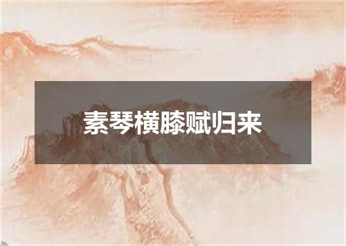 素琴横膝赋归来