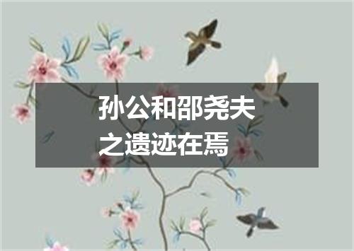 孙公和邵尧夫之遗迹在焉