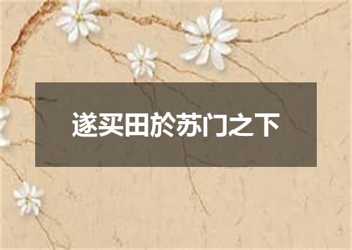 遂买田於苏门之下