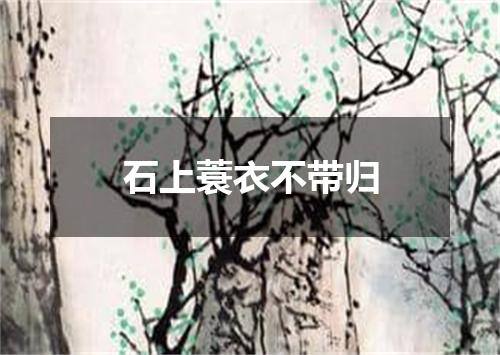石上蓑衣不带归