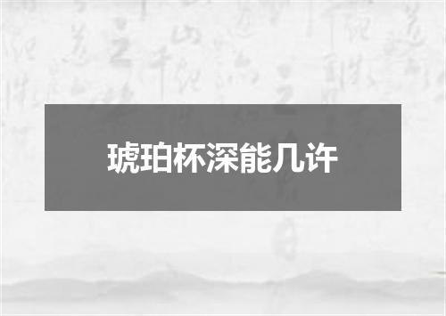 琥珀杯深能几许