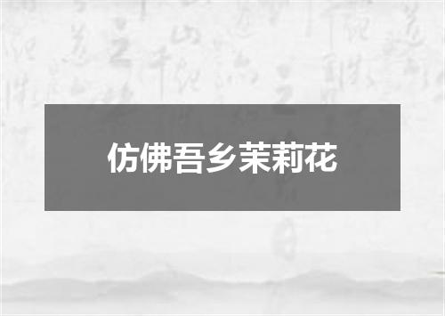 仿佛吾乡茉莉花