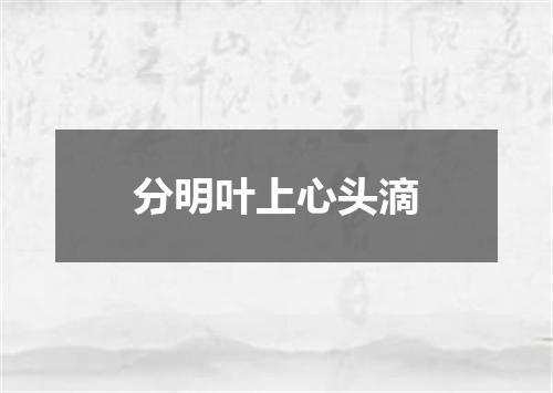 分明叶上心头滴