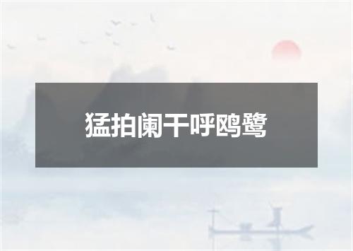 猛拍阑干呼鸥鹭