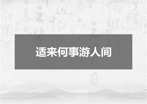 适来何事游人间