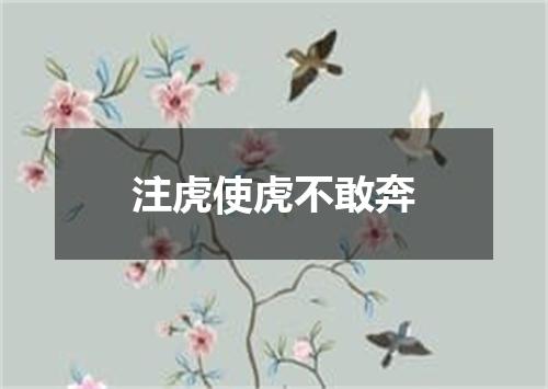 注虎使虎不敢奔