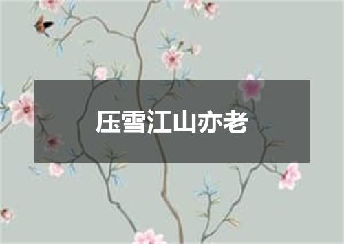 压雪江山亦老