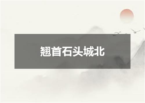 翘首石头城北