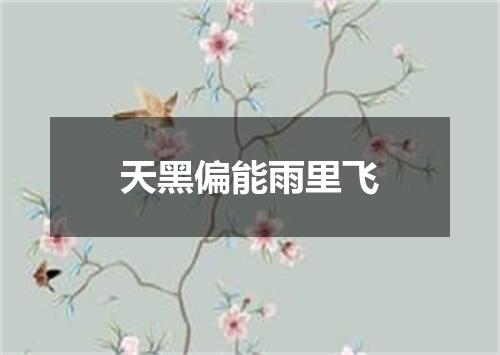 天黑偏能雨里飞