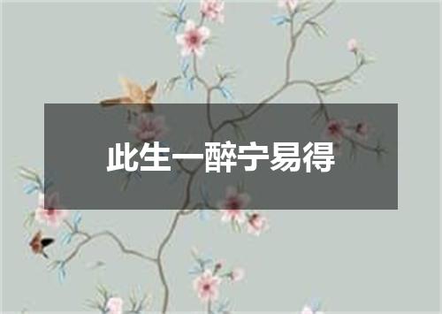 此生一醉宁易得