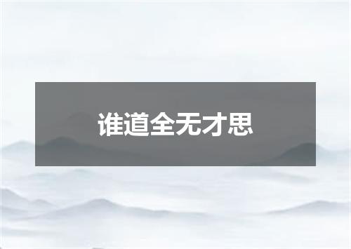谁道全无才思