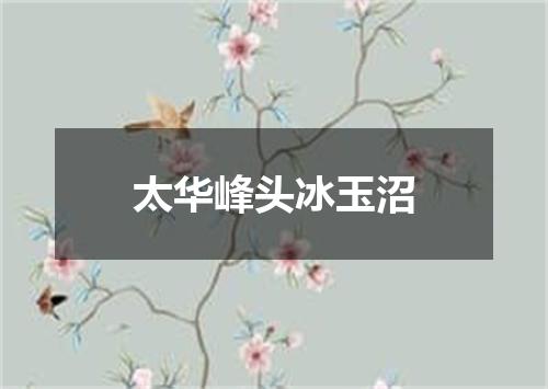 太华峰头冰玉沼