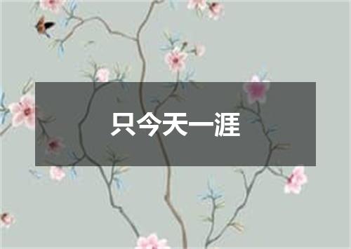 只今天一涯