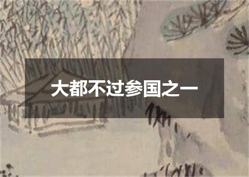 大都不过参国之一