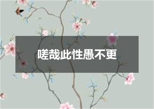 嗟哉此性愚不更