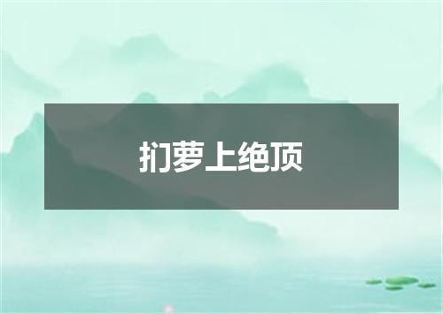 扪萝上绝顶