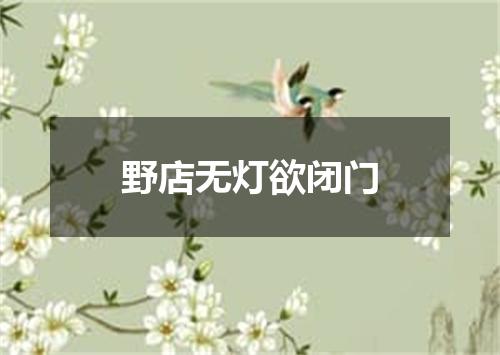 野店无灯欲闭门