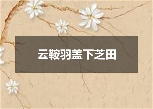 云鞍羽盖下芝田