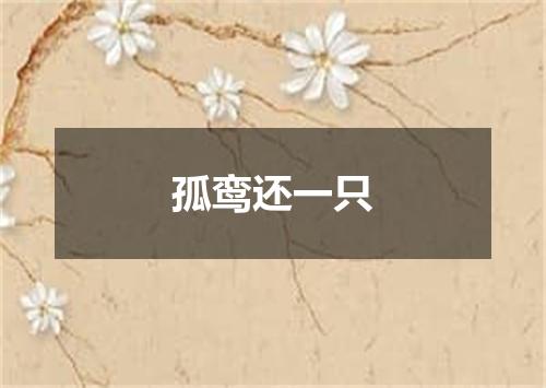 孤鸾还一只